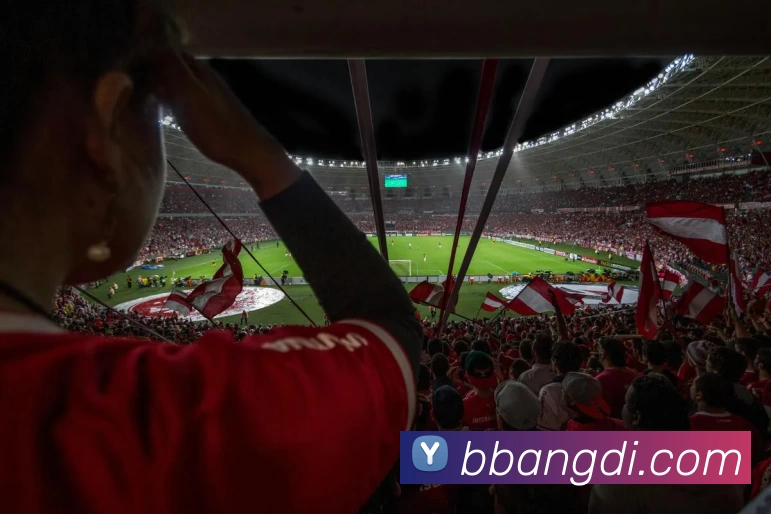 多媒体互动体验