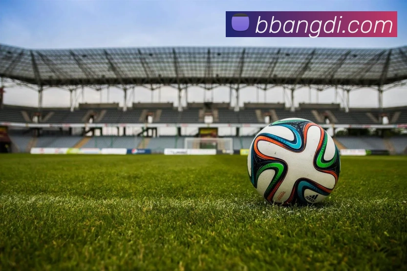 mksports网站APP 体育赛事宣传图